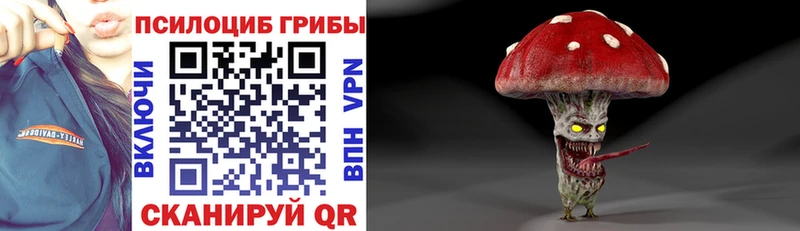 Псилоцибиновые грибы Psilocybe  Калининск 